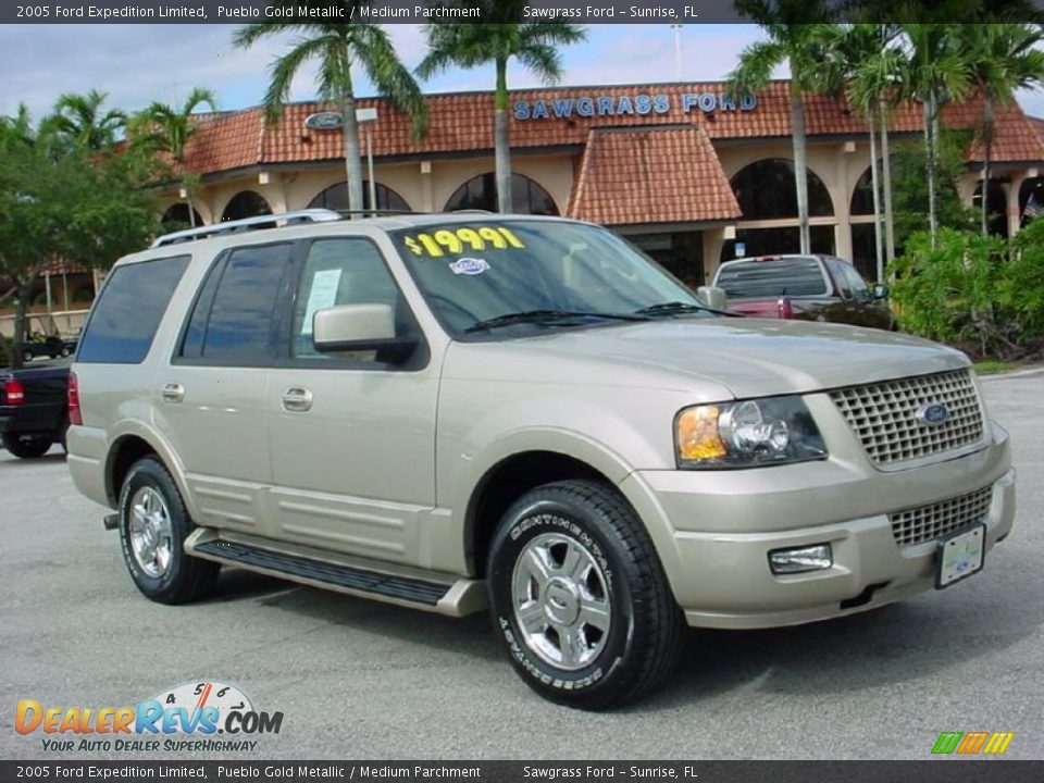 2005 Ford Expedition Limited Pueblo Gold Metallic / Medium Parchment Photo #1