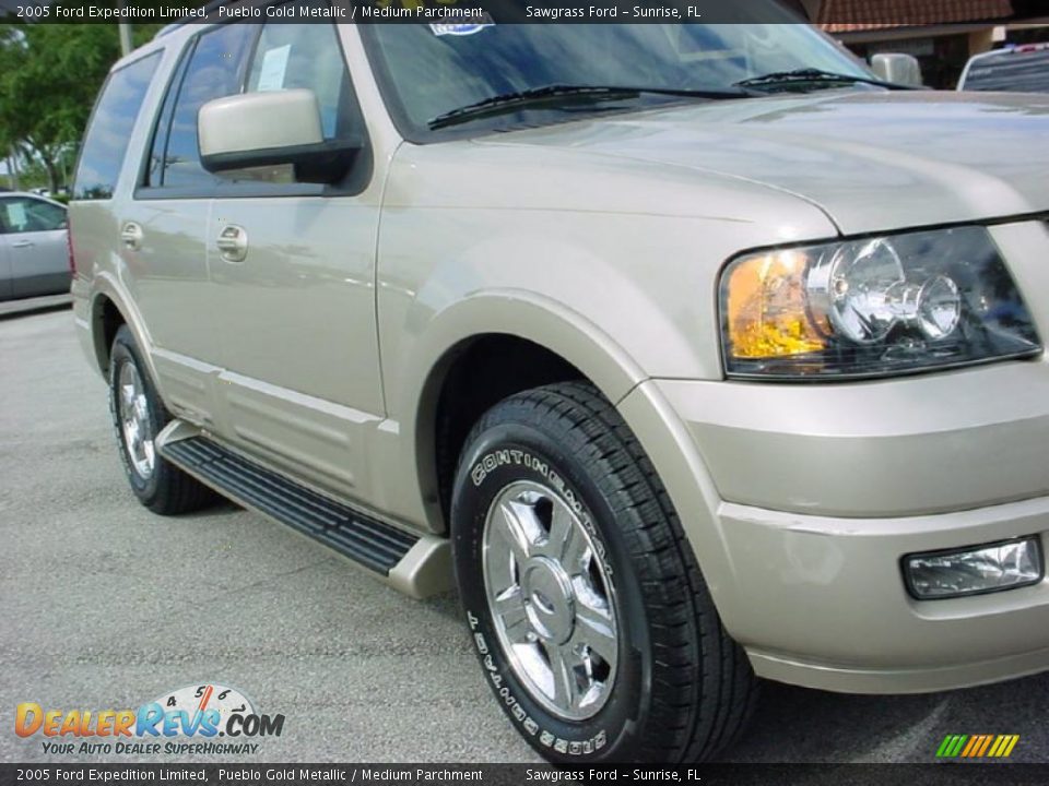2005 Ford Expedition Limited Pueblo Gold Metallic / Medium Parchment Photo #2