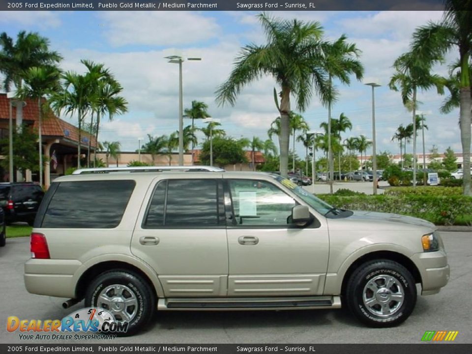 2005 Ford Expedition Limited Pueblo Gold Metallic / Medium Parchment Photo #5