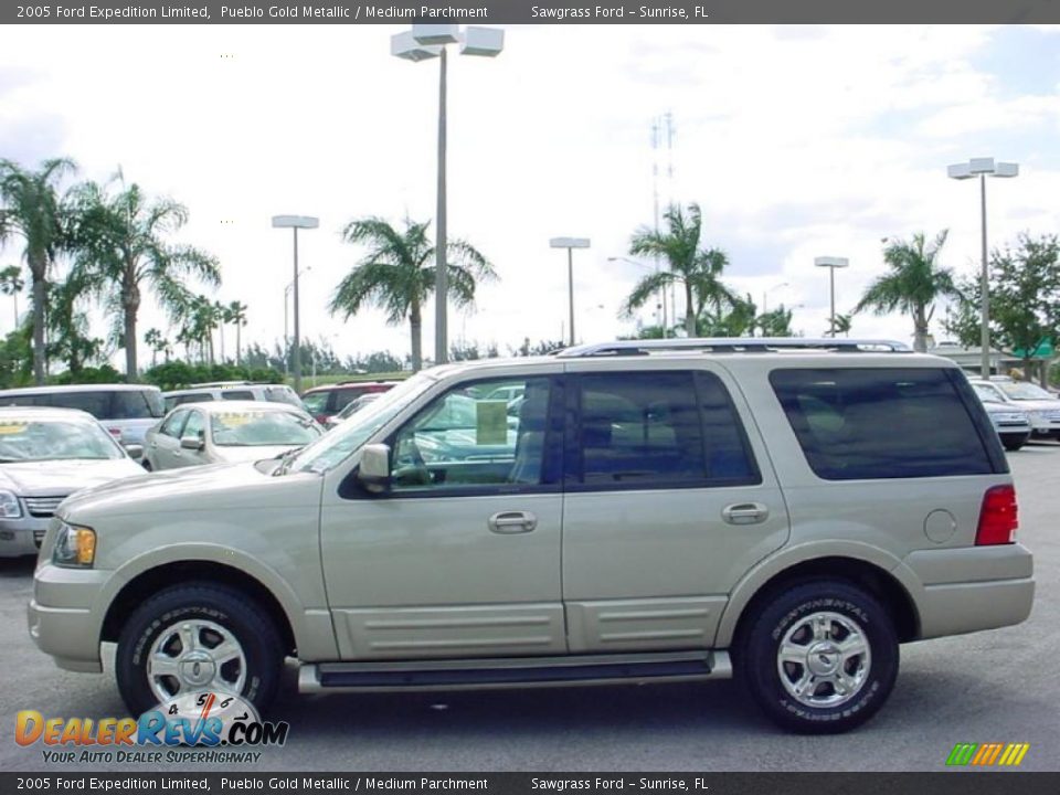 2005 Ford Expedition Limited Pueblo Gold Metallic / Medium Parchment Photo #11