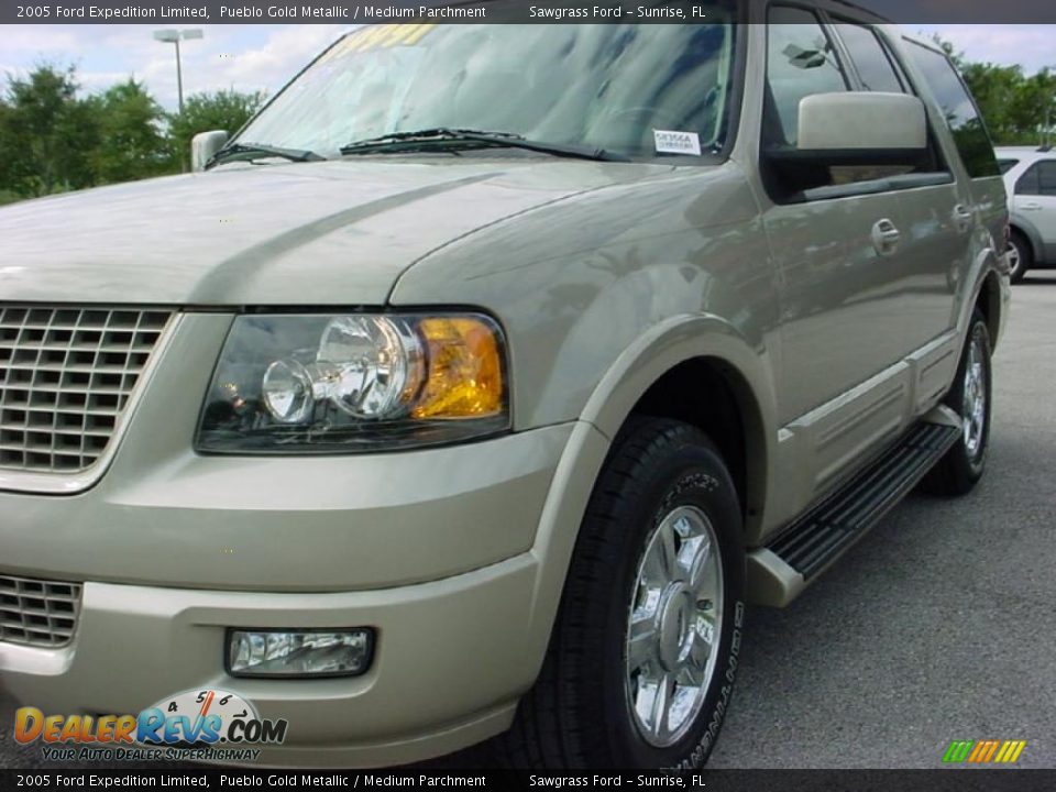 2005 Ford Expedition Limited Pueblo Gold Metallic / Medium Parchment Photo #14