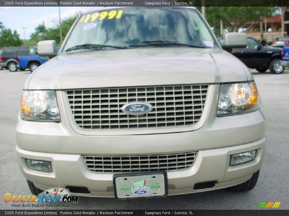 2005 Ford Expedition Limited Pueblo Gold Metallic / Medium Parchment Photo #16