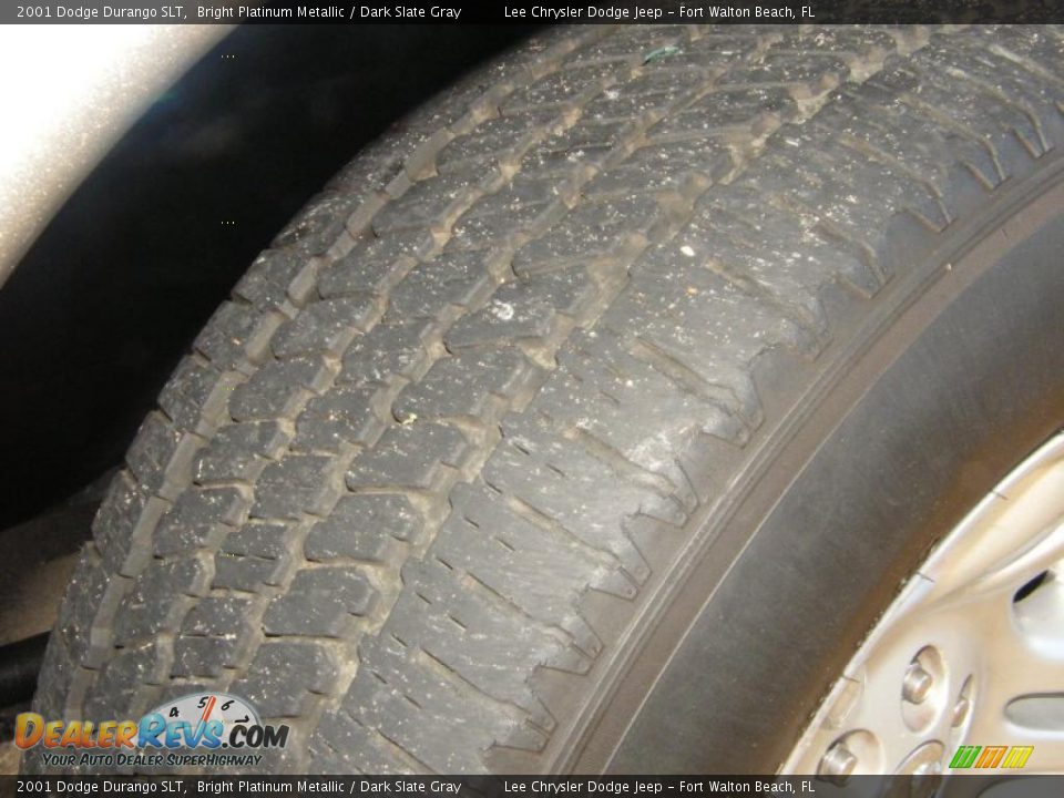 2001 Dodge Durango SLT Bright Platinum Metallic / Dark Slate Gray Photo #13