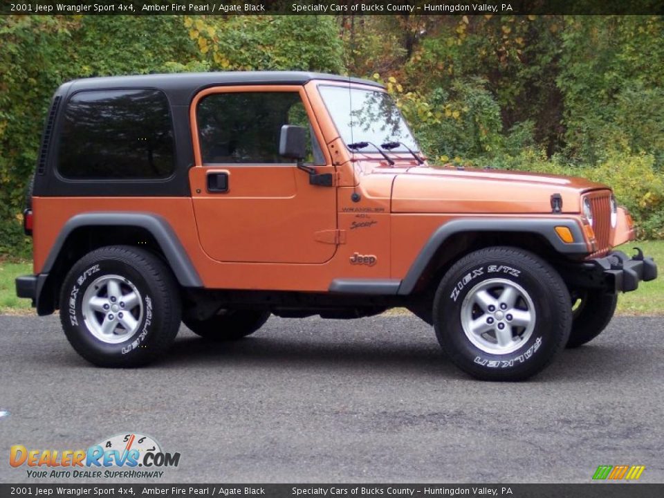 2001 Jeep Wrangler Sport 4x4 Amber Fire Pearl / Agate Black Photo #3