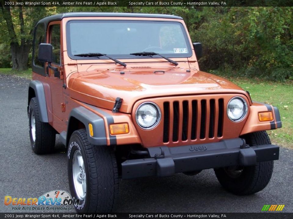 2001 Jeep Wrangler Sport 4x4 Amber Fire Pearl / Agate Black Photo #5