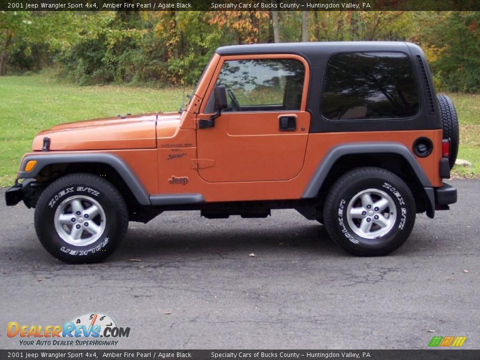 2001 Jeep Wrangler Sport 4x4 Amber Fire Pearl / Agate Black Photo #8