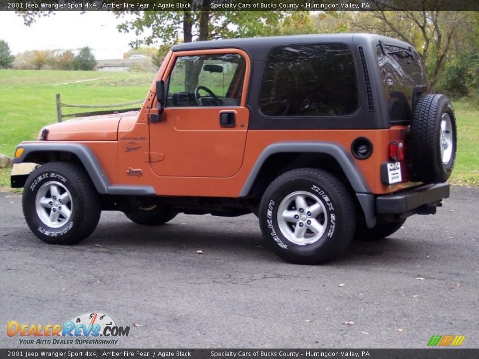 2001 Jeep Wrangler Sport 4x4 Amber Fire Pearl / Agate Black Photo #9