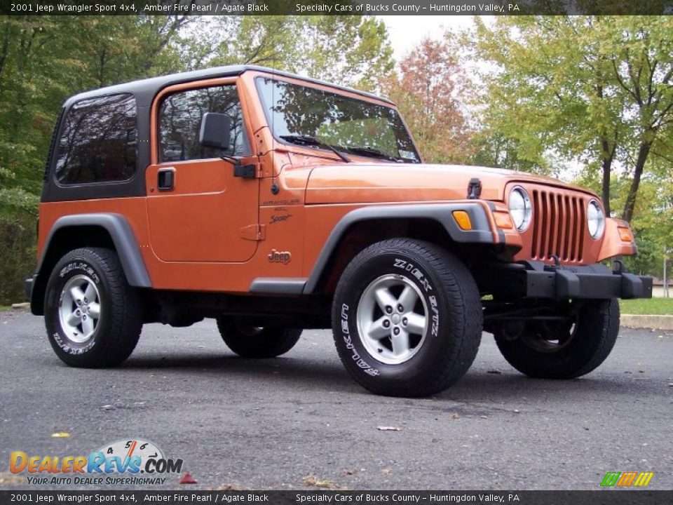 2001 Jeep Wrangler Sport 4x4 Amber Fire Pearl / Agate Black Photo #14