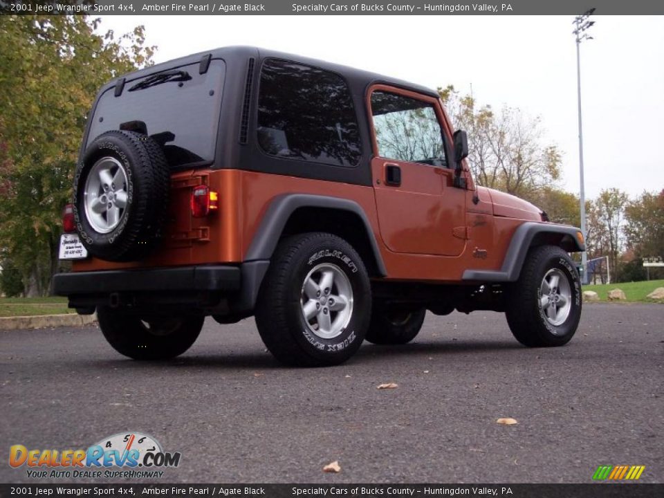 2001 Jeep Wrangler Sport 4x4 Amber Fire Pearl / Agate Black Photo #15