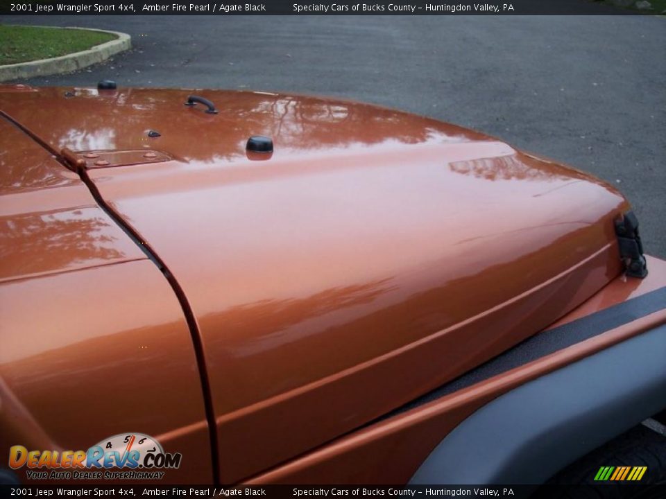 2001 Jeep Wrangler Sport 4x4 Amber Fire Pearl / Agate Black Photo #16