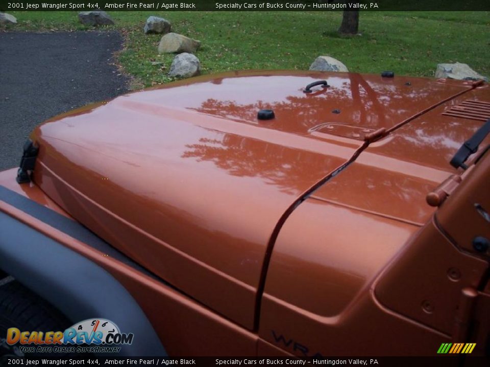 2001 Jeep Wrangler Sport 4x4 Amber Fire Pearl / Agate Black Photo #17