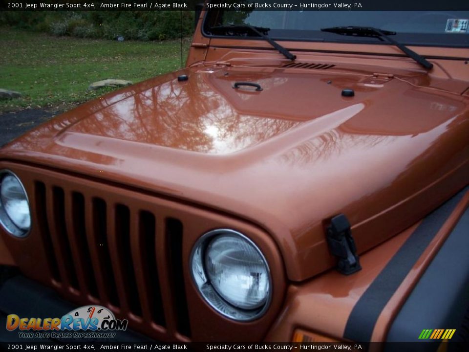 2001 Jeep Wrangler Sport 4x4 Amber Fire Pearl / Agate Black Photo #18