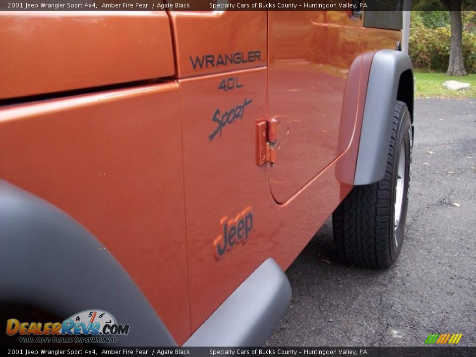 2001 Jeep Wrangler Sport 4x4 Logo Photo #19