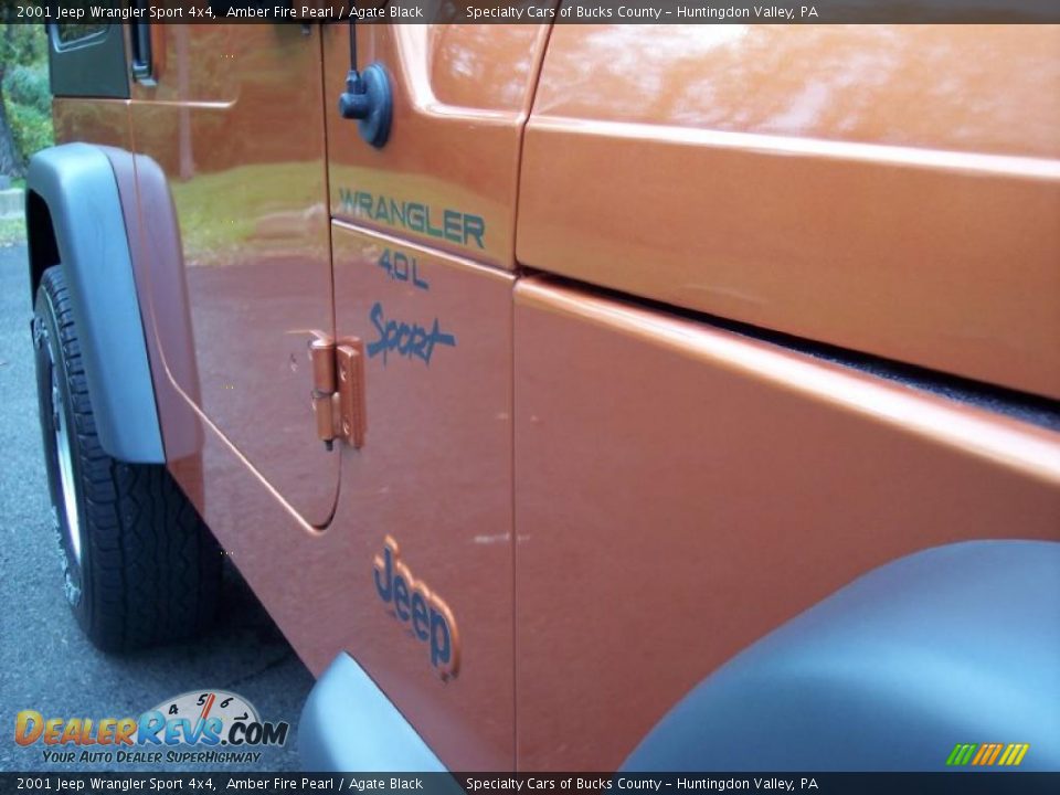 2001 Jeep Wrangler Sport 4x4 Amber Fire Pearl / Agate Black Photo #20