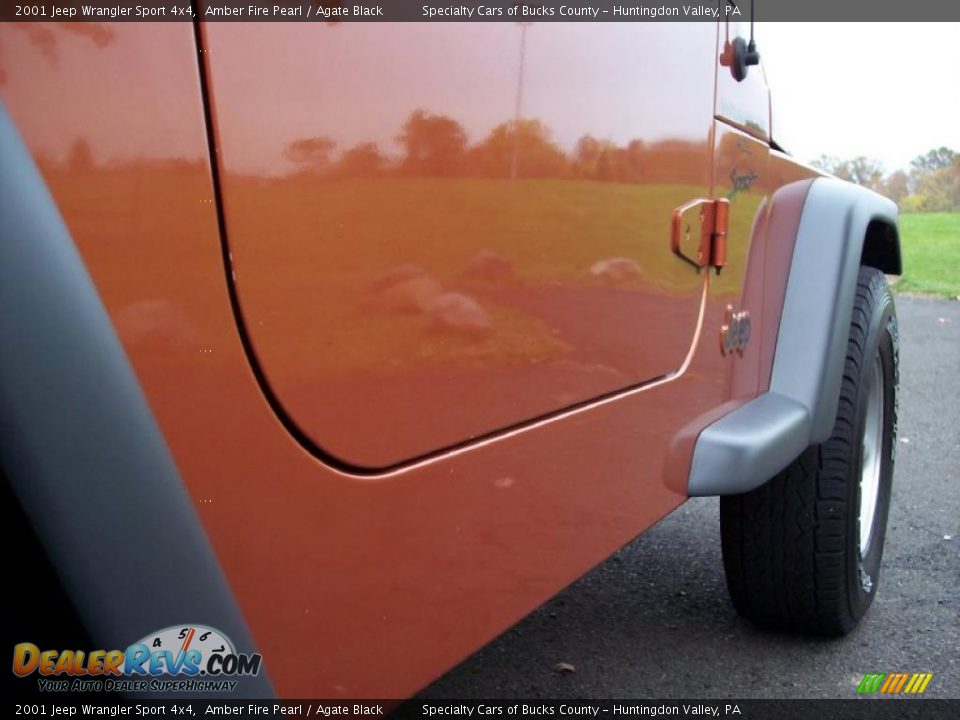 2001 Jeep Wrangler Sport 4x4 Amber Fire Pearl / Agate Black Photo #21
