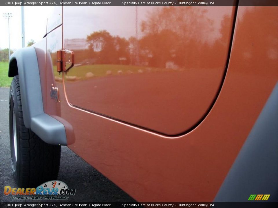 2001 Jeep Wrangler Sport 4x4 Amber Fire Pearl / Agate Black Photo #22
