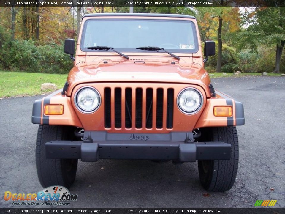 2001 Jeep Wrangler Sport 4x4 Amber Fire Pearl / Agate Black Photo #26