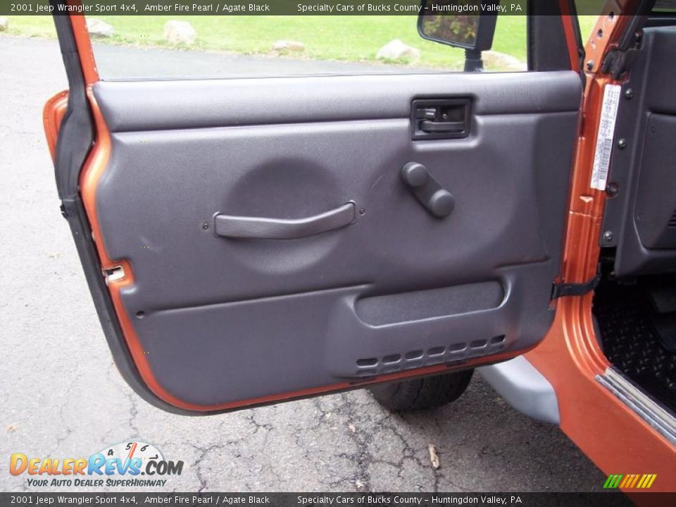Door Panel of 2001 Jeep Wrangler Sport 4x4 Photo #30