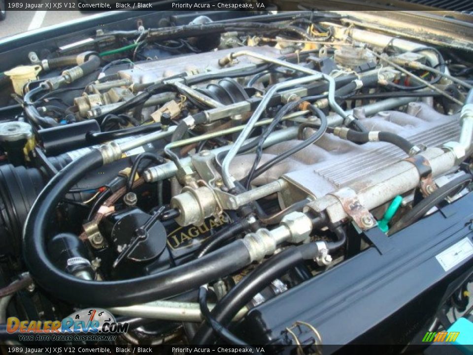 1989 Jaguar XJ XJS V12 Convertible 5.3 Liter SOHC 24-Valve V12 Engine Photo #34