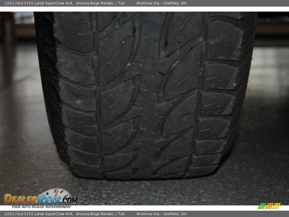 2001 Ford F150 Lariat SuperCrew 4x4 Arizona Beige Metallic / Tan Photo #27