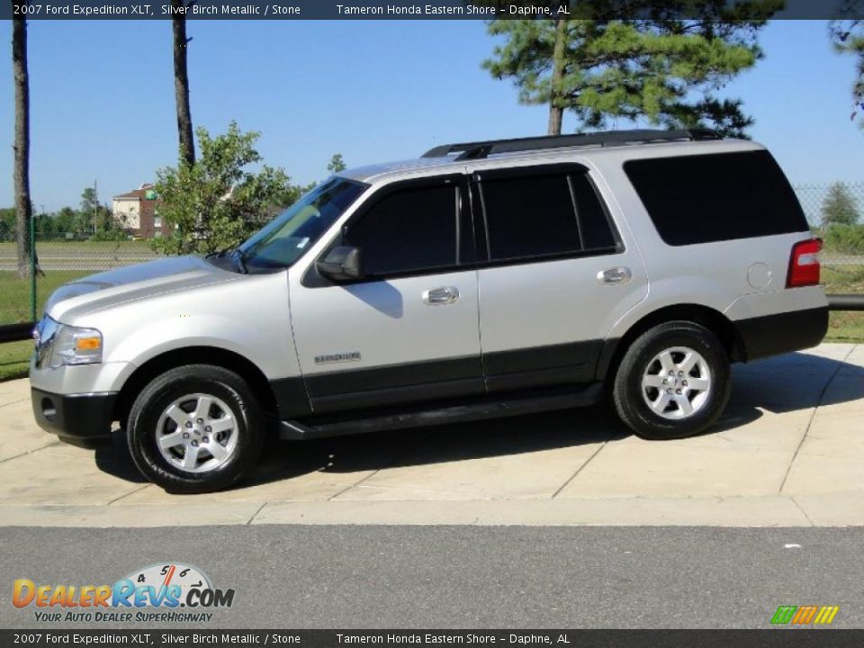 Silver Birch Metallic 2007 Ford Expedition XLT Photo #8