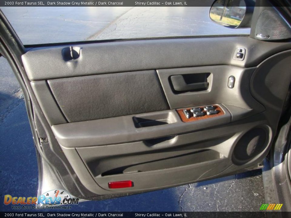 Door Panel of 2003 Ford Taurus SEL Photo #13