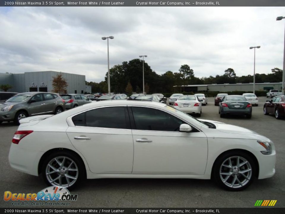 2009 Nissan Maxima 3.5 SV Sport Winter Frost White / Frost Leather Photo #13