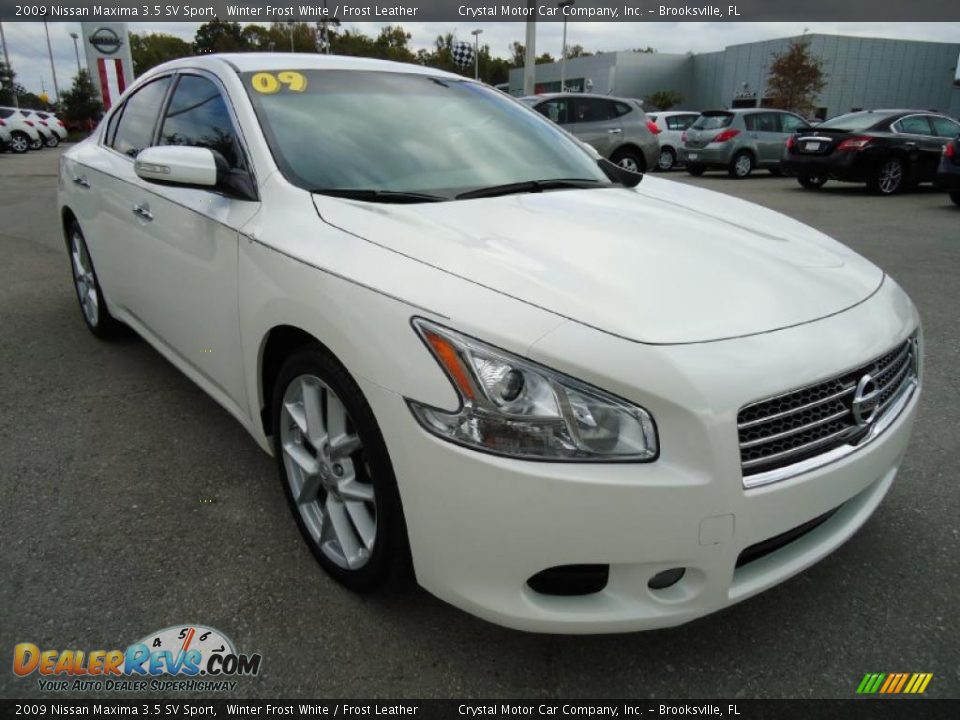 2009 Nissan Maxima 3.5 SV Sport Winter Frost White / Frost Leather Photo #14