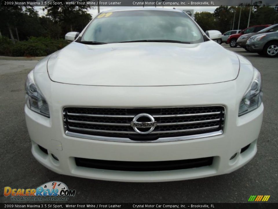 2009 Nissan Maxima 3.5 SV Sport Winter Frost White / Frost Leather Photo #21