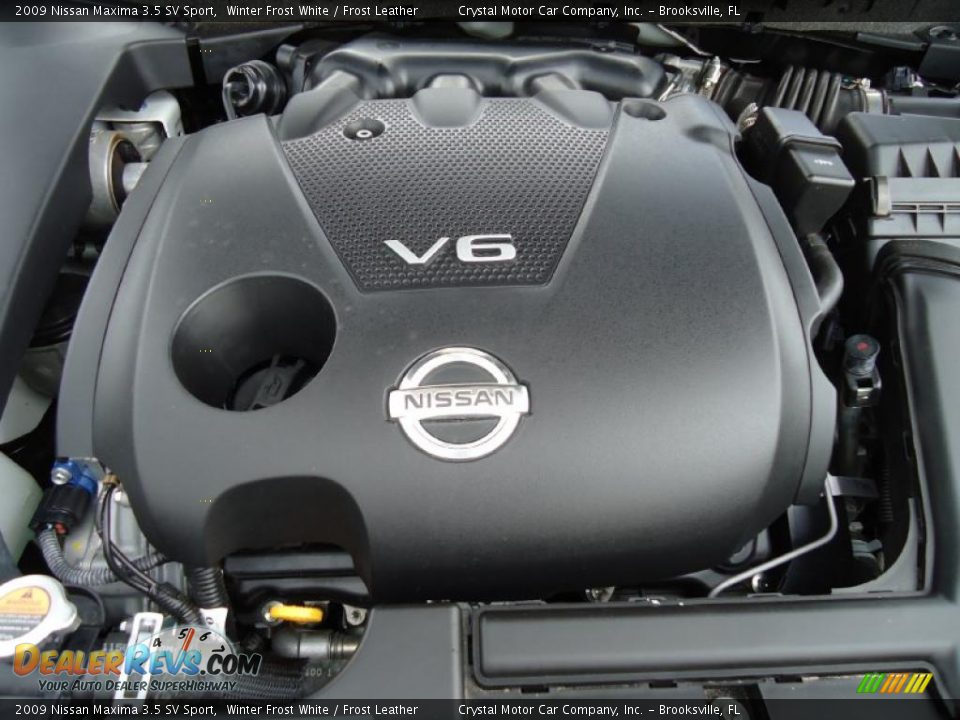 2009 Nissan Maxima 3.5 SV Sport Winter Frost White / Frost Leather Photo #28