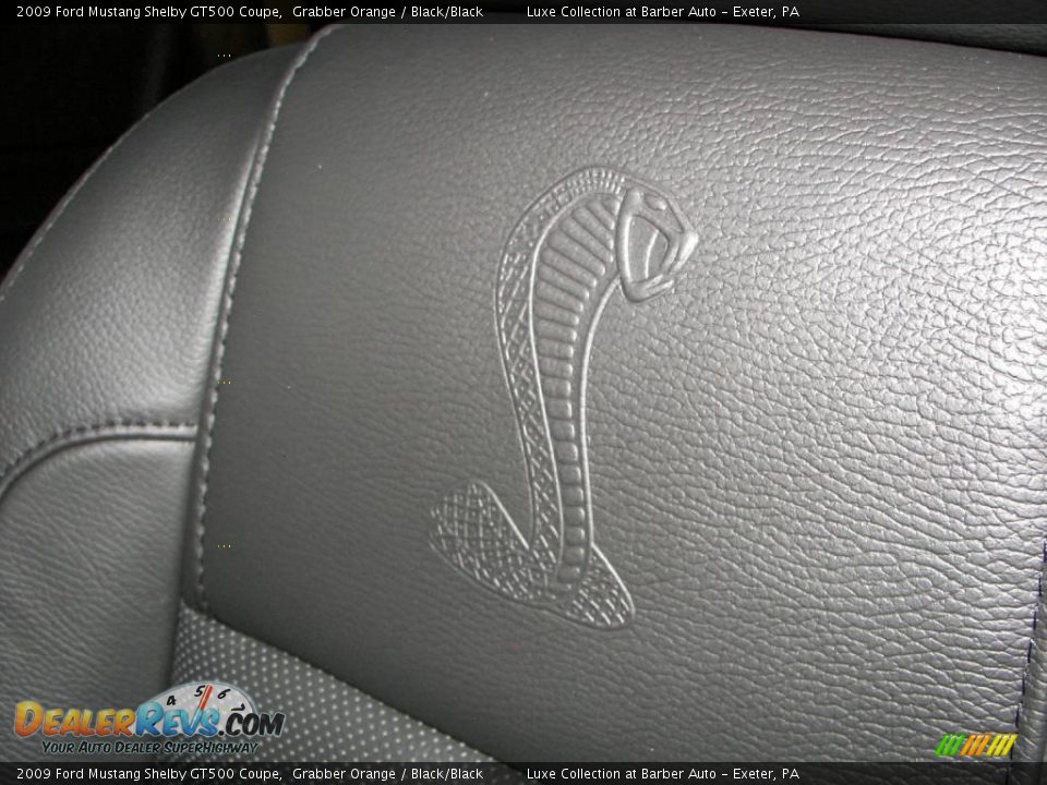 2009 Ford Mustang Shelby GT500 Coupe Logo Photo #23