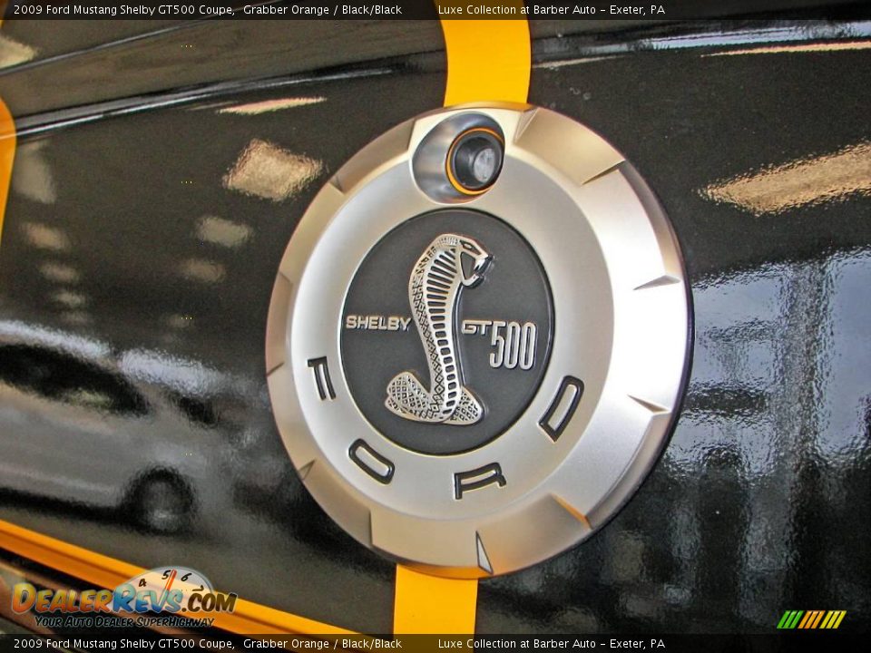 2009 Ford Mustang Shelby GT500 Coupe Logo Photo #30
