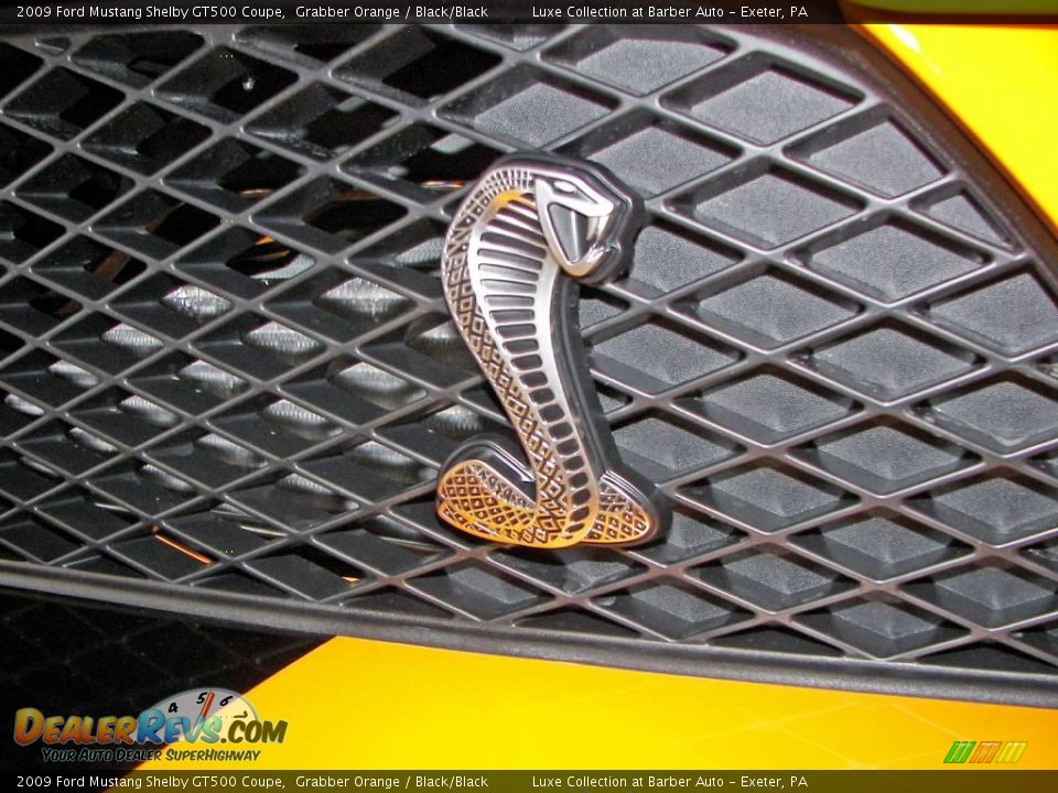 2009 Ford Mustang Shelby GT500 Coupe Logo Photo #34