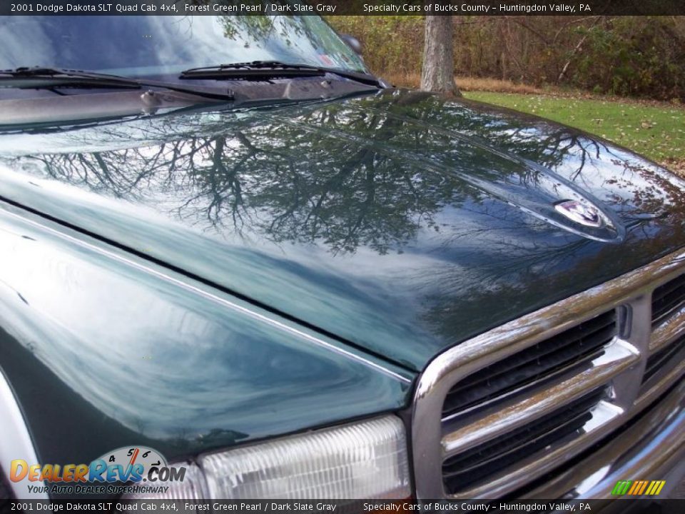 2001 Dodge Dakota SLT Quad Cab 4x4 Forest Green Pearl / Dark Slate Gray Photo #16