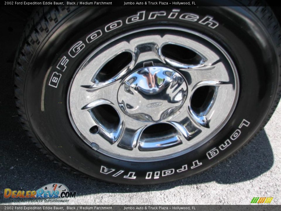2002 Ford Expedition Eddie Bauer Wheel Photo #19