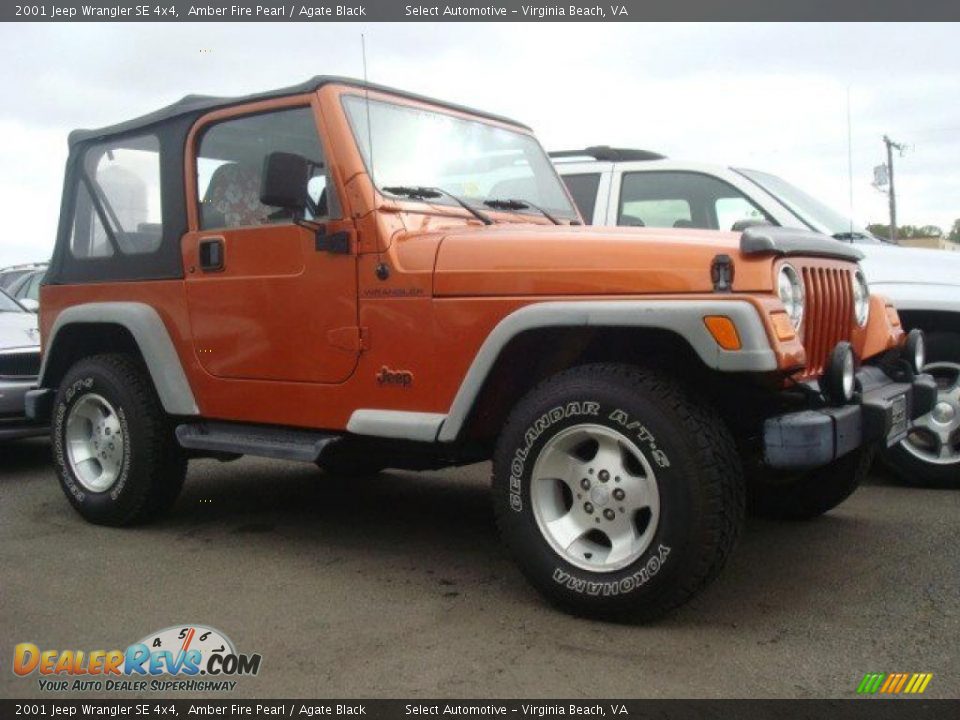 2001 Jeep Wrangler SE 4x4 Amber Fire Pearl / Agate Black Photo #2