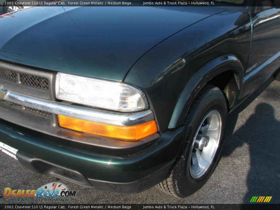 2001 Chevrolet S10 LS Regular Cab Forest Green Metallic / Medium Beige Photo #4