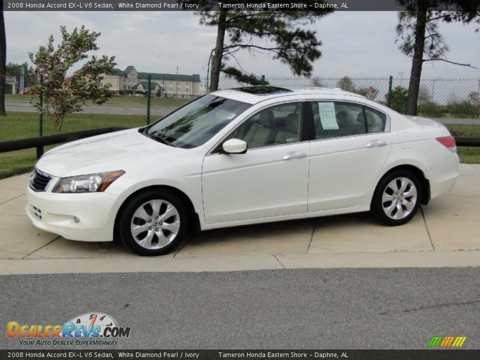 2008 Honda accord ex-l white #2