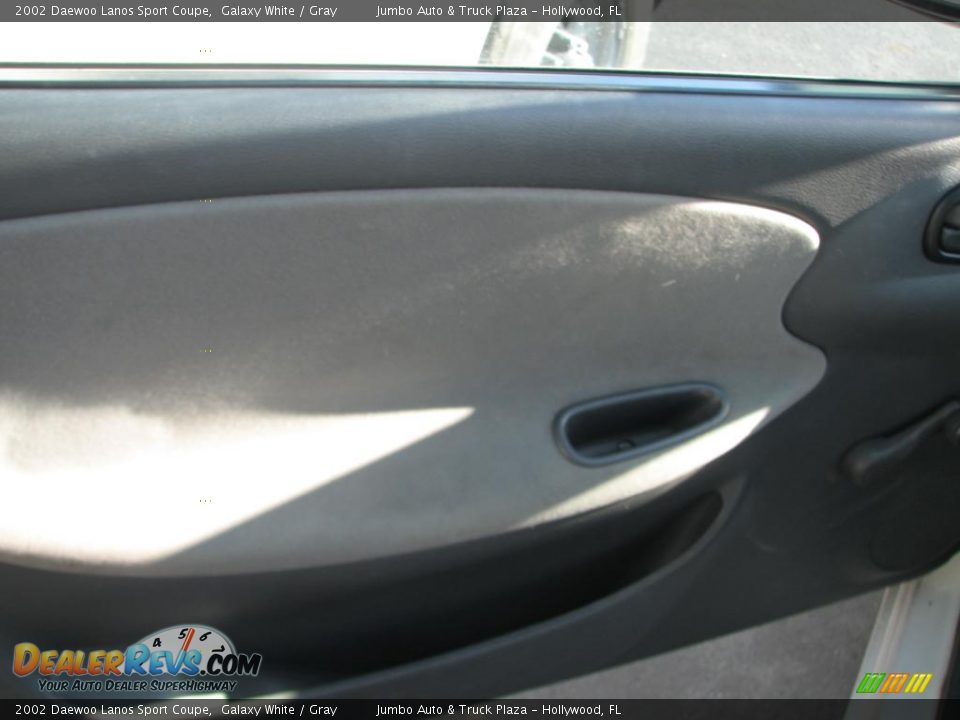 Door Panel of 2002 Daewoo Lanos Sport Coupe Photo #11