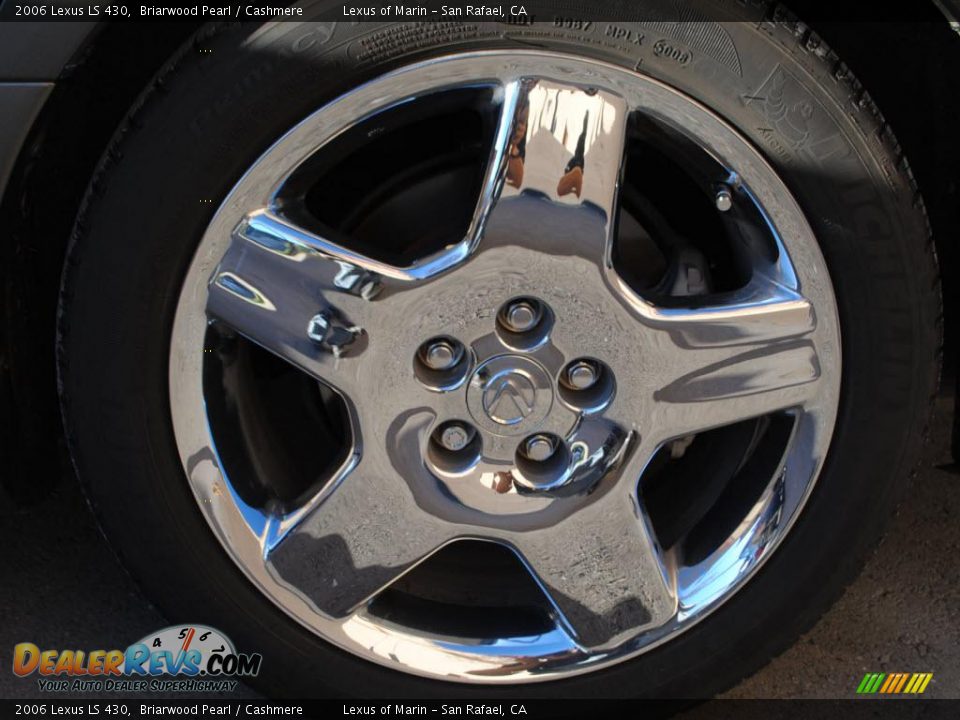 2006 Lexus LS 430 Briarwood Pearl / Cashmere Photo #20