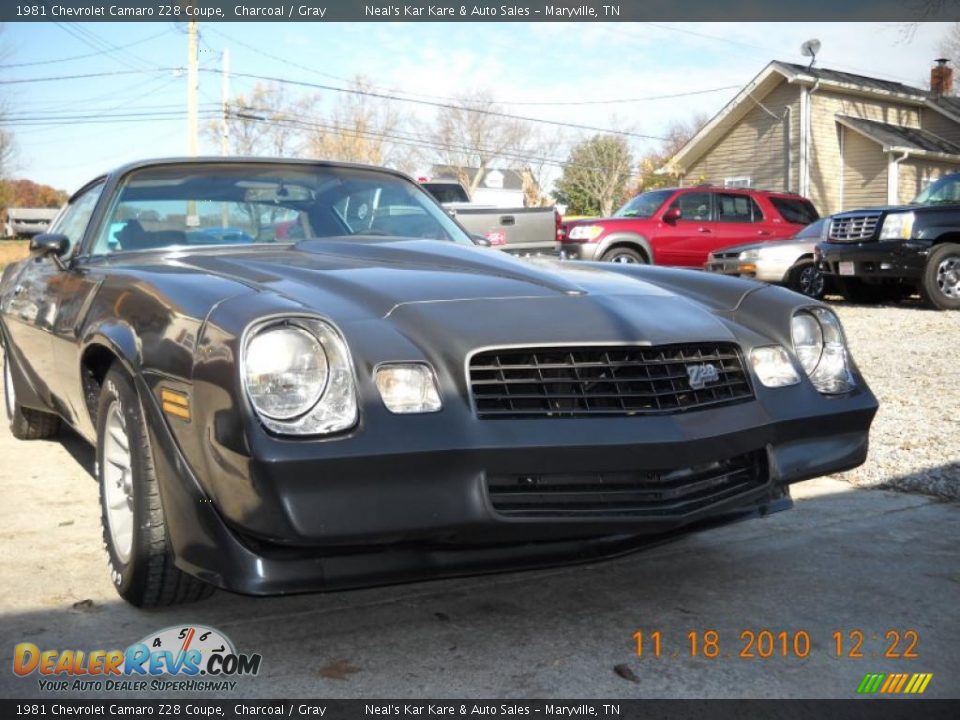 1981 Chevrolet Camaro Z28 Coupe Charcoal / Gray Photo #3