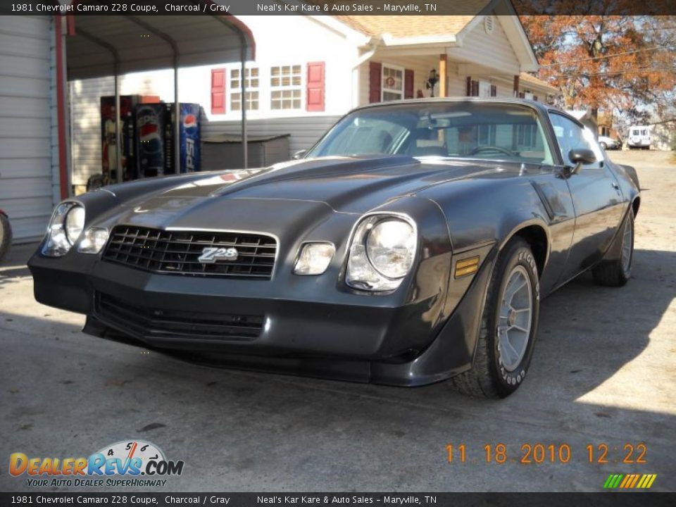 1981 Chevrolet Camaro Z28 Coupe Charcoal / Gray Photo #4