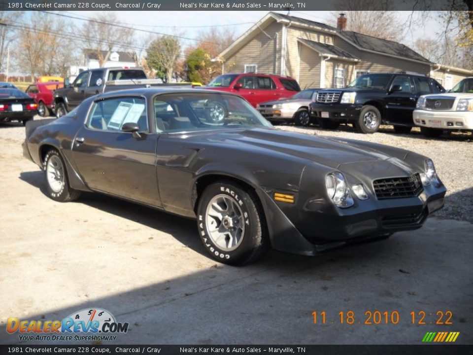 1981 Chevrolet Camaro Z28 Coupe Charcoal / Gray Photo #6