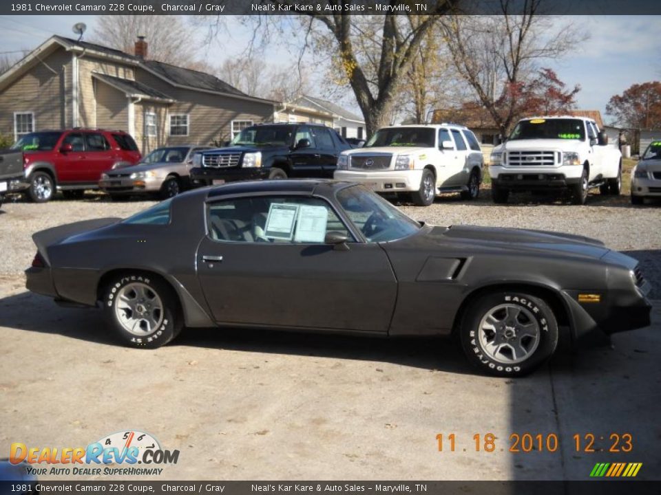 1981 Chevrolet Camaro Z28 Coupe Charcoal / Gray Photo #7