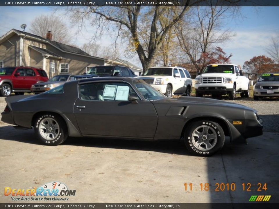 1981 Chevrolet Camaro Z28 Coupe Charcoal / Gray Photo #8