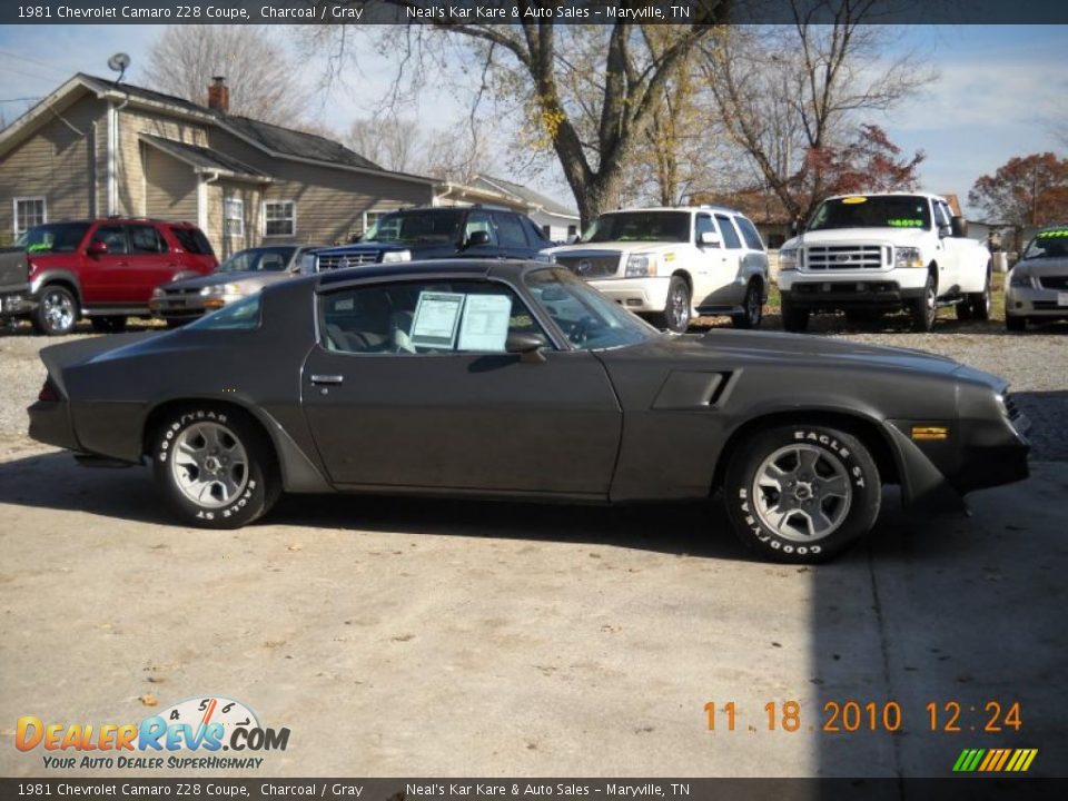 1981 Chevrolet Camaro Z28 Coupe Charcoal / Gray Photo #9