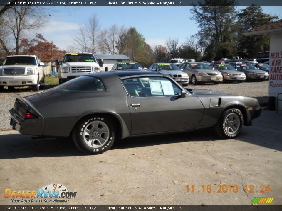 1981 Chevrolet Camaro Z28 Coupe Charcoal / Gray Photo #10