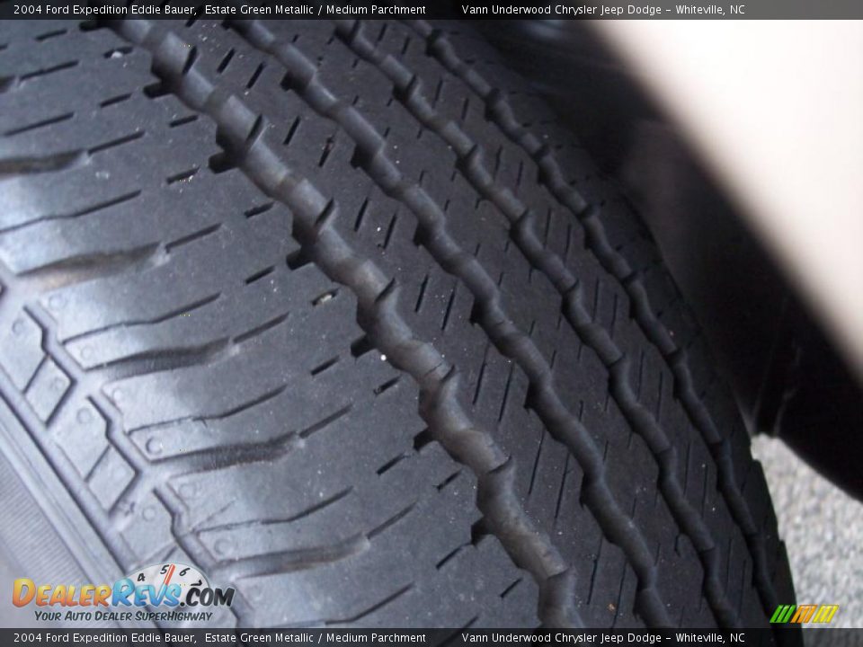 2004 Ford Expedition Eddie Bauer Estate Green Metallic / Medium Parchment Photo #10