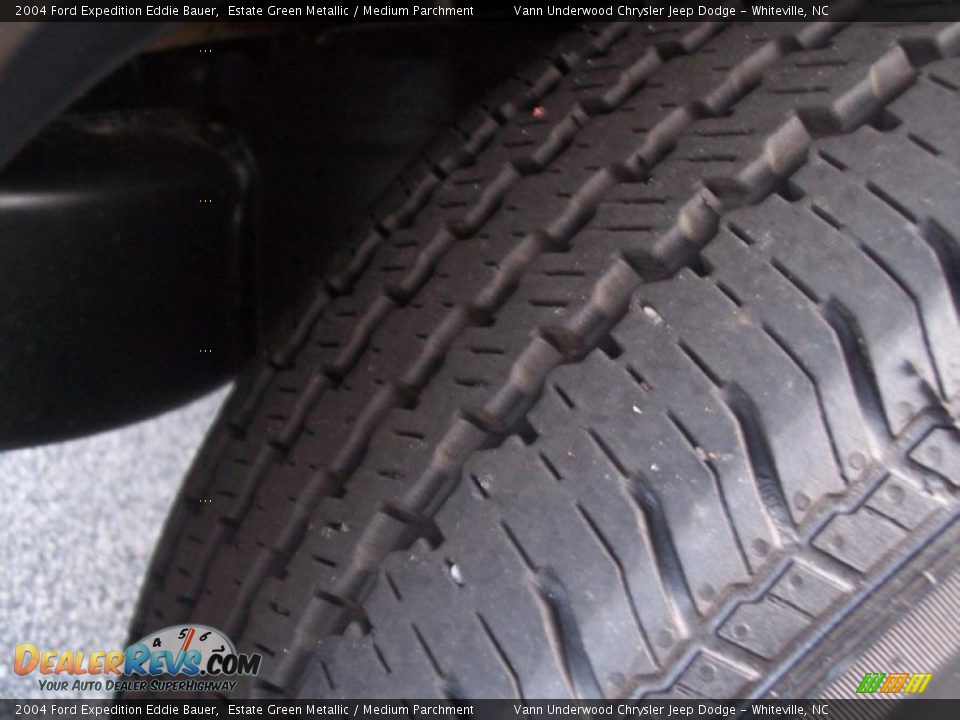 2004 Ford Expedition Eddie Bauer Estate Green Metallic / Medium Parchment Photo #16