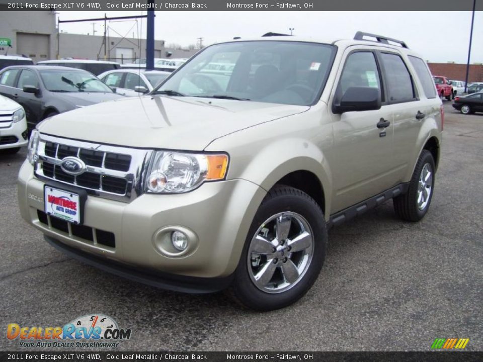 2011 Ford Escape XLT V6 4WD Gold Leaf Metallic / Charcoal Black Photo #1